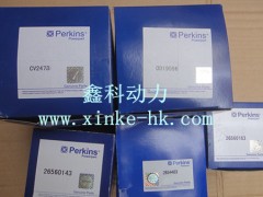 ˹R˹perkinsl늙C