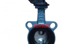 EBRO(dng)yZ011-A DN100