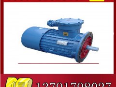 YBK2-225S-4늙C(j)չr(ji)**