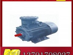 YBK2-355M2-4늙C(j)չr**