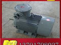 YBK2-355L1-4늙Cչr**