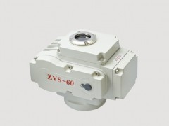 ZYS-60С220V늄(dng)yT(mn)(zh)