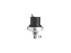 GEMS_P(gun)PS11-L(zhng)OEM_P(gun)