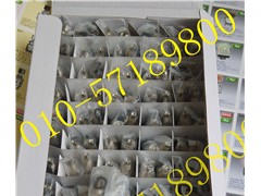 ձMڰo_P(gun)MB2065SS4W01_NKK_P(gun)