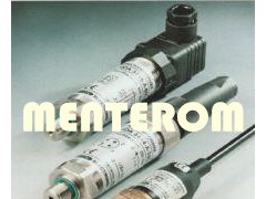 MENTEROM߉ՉC(j)O(sh)䉺܇