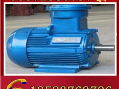 YBK3-100L1-4늙C(j)  (j)늙C(j)