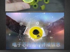 һ^ţӶˡ